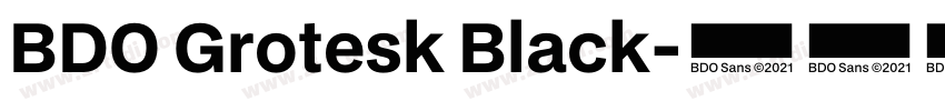 BDO Grotesk Black字体转换